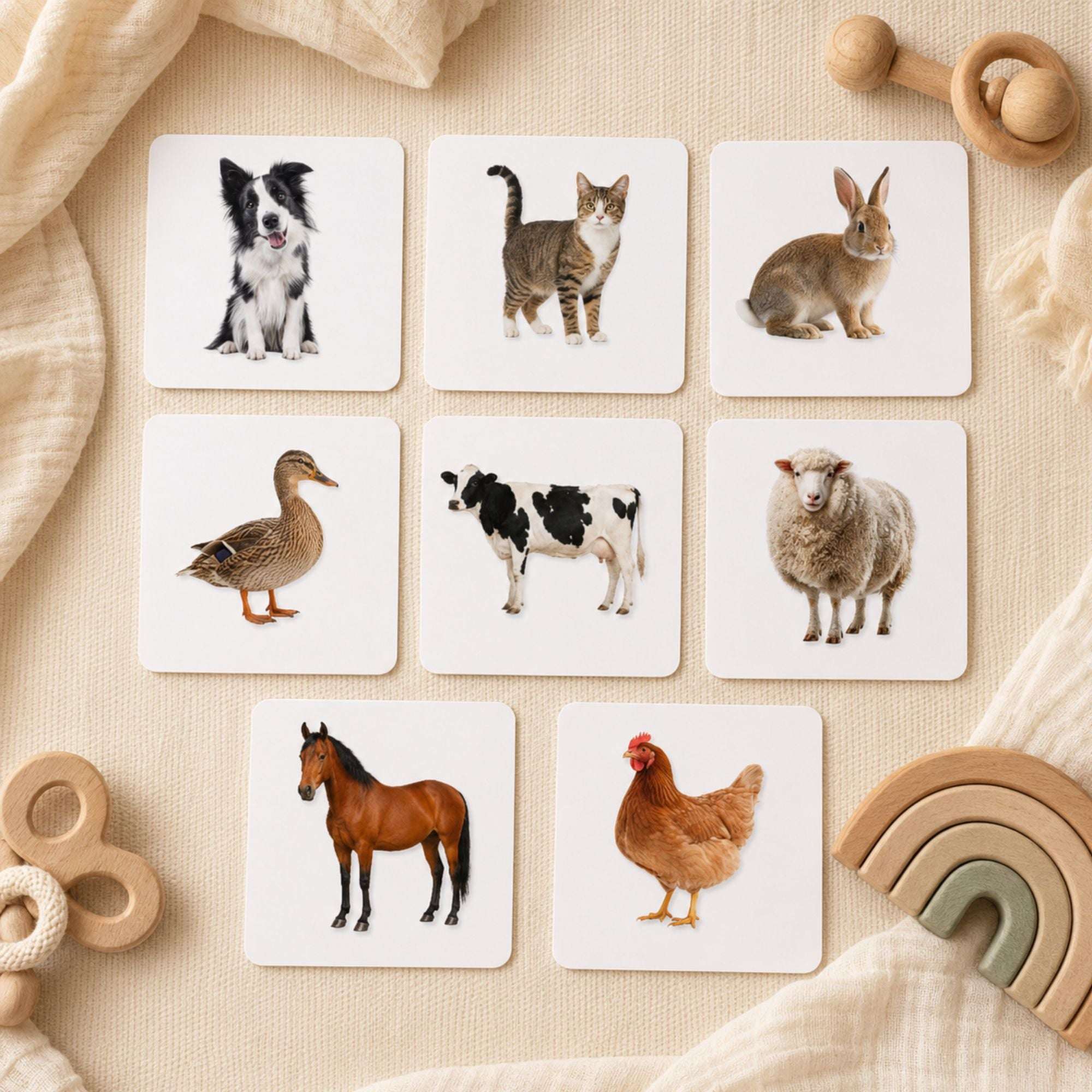 Animal Sounds and Picture Cards for Babies at 9–10 Months