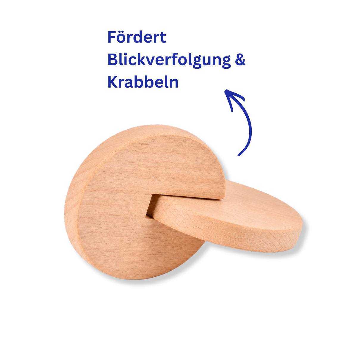 Rollscheibe zum Hinterherkrabbeln