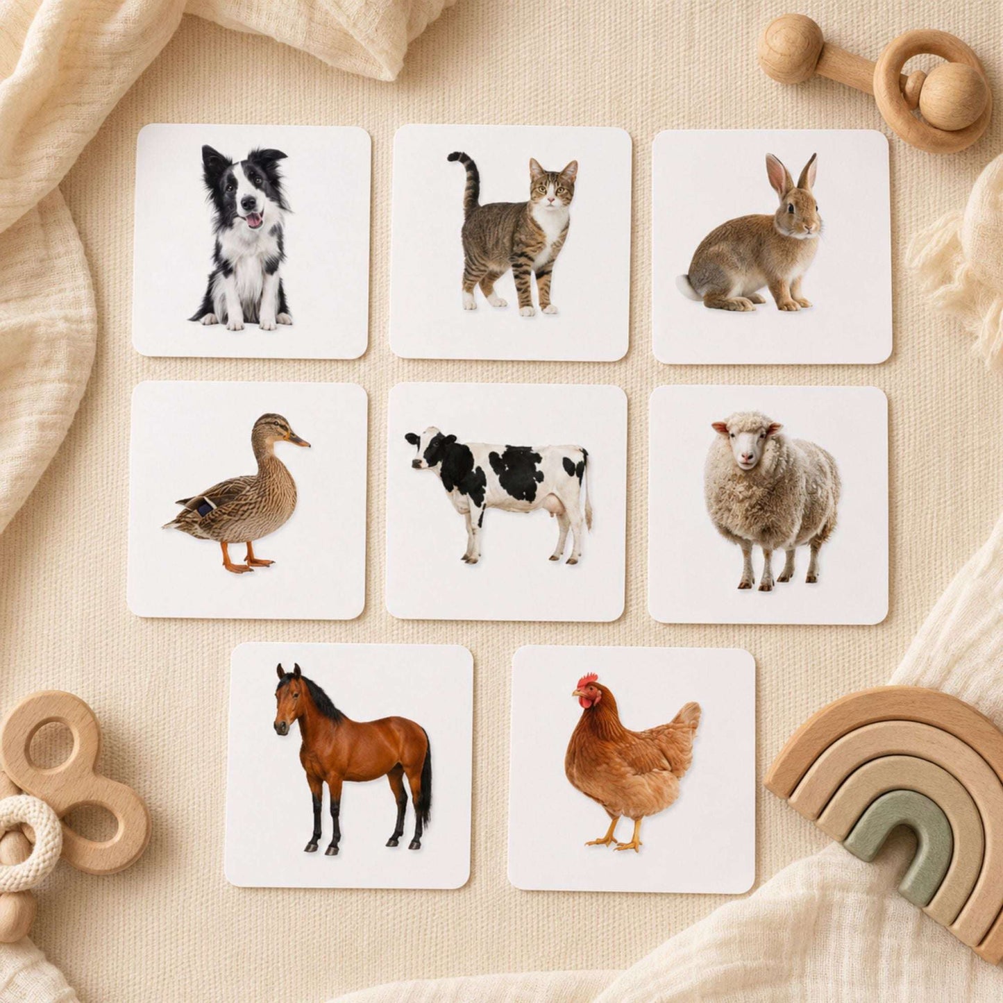Animals friends   | 7-8 Months