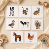 Animals friends   | 7-8 Months